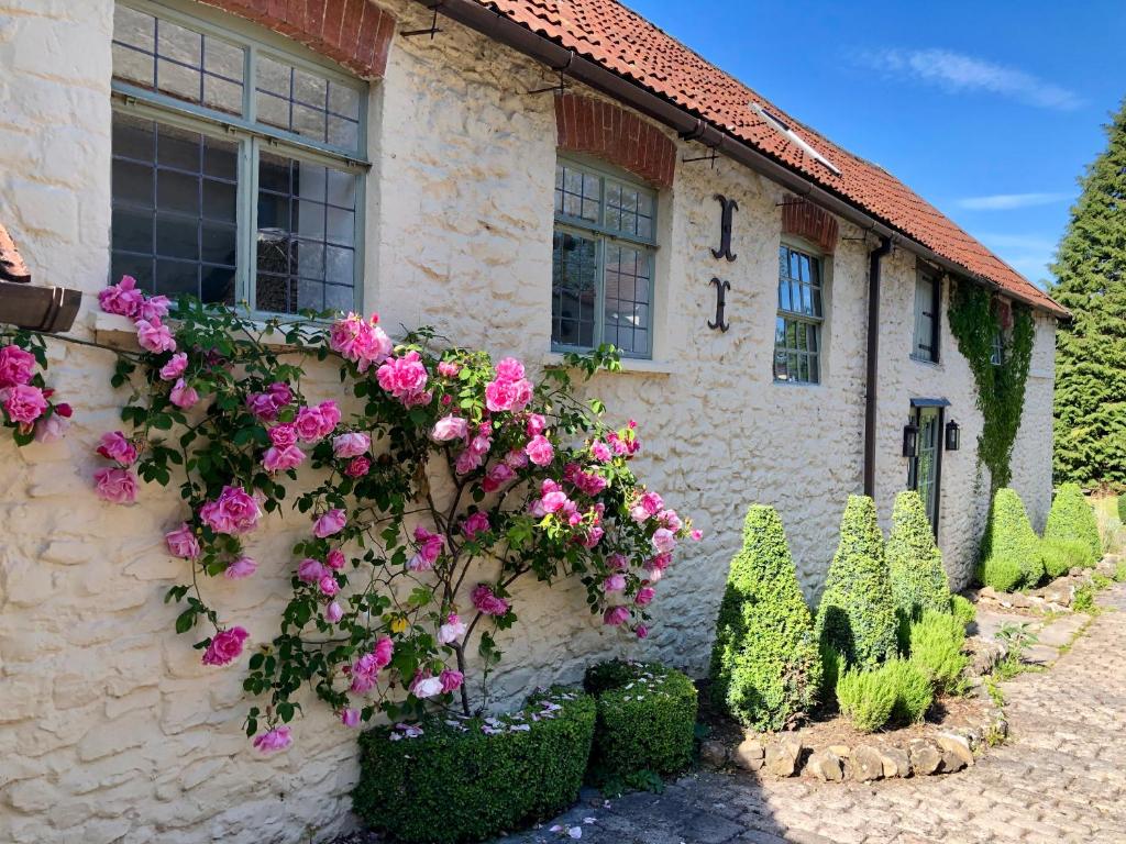 HomeFarmHotel's tweet photo. A welcome return to a bit of warmth this week. There really is nothing more glorious than Devon in the sunshine!
Come and share our breathtaking views at our 16th-century old farmhouse hotel just outside Honiton.
#LoveWhereYouLive #BeautifulDevon #VisitDevon #SunnySkies https://t.co/MLKTycwANe