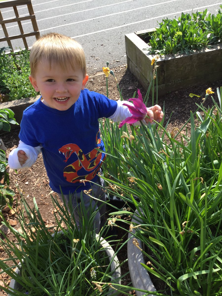 As part of their Growing and Changing topic theme our toddlers enjoyed using their senses to explore the garden. They found lavender, tulips and rhubarb.