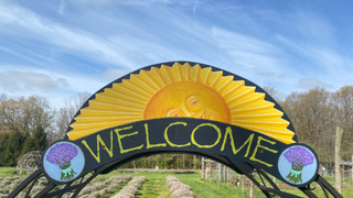 Welcome Back!! Mad Lavender Farm opens for the season this weekend, May 7th. Please check out our newsletter for more information. We can't wait to see you again!- mailchi.mp/madlavenderfar…