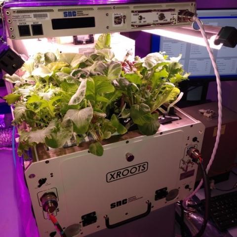 Handing over <a href="/Space_Station/">International Space Station</a> duties to <a href="/NASA_Astronauts/">ARCHIVED NASA Astronauts</a> from #Crew4. Starting XROOTS experiment to pave way for better plant growing tech for <a href="/NASA/">NASA</a> #Artemis &amp; farmers on Earth.