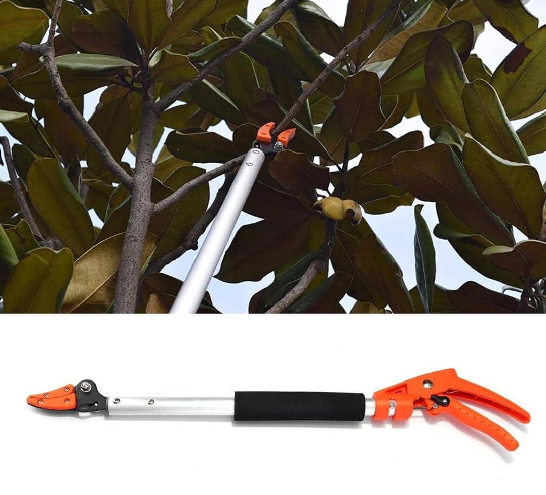 Chairman AW tweet media