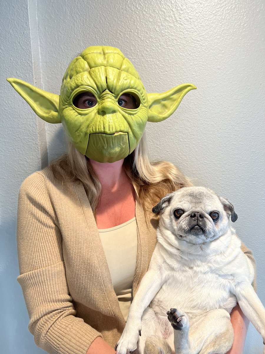 AlyshaPerisho's tweet image. May the 4th be with you #MayThe4thBeWithYou #dogsofamazon #aws
