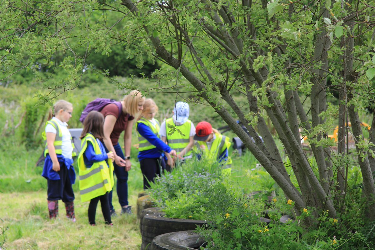 Carymoor's tweet photo. Lovely to welcome children from
@MinervaPrimary
for a Plant Detectives day. We played the pollination game, plant bingo, disected cowslips and made paper potters to plant sunflower seeds in. #springflowers #identification #plants #disection
@TheRLP1 https://t.co/lFO5MOR58X