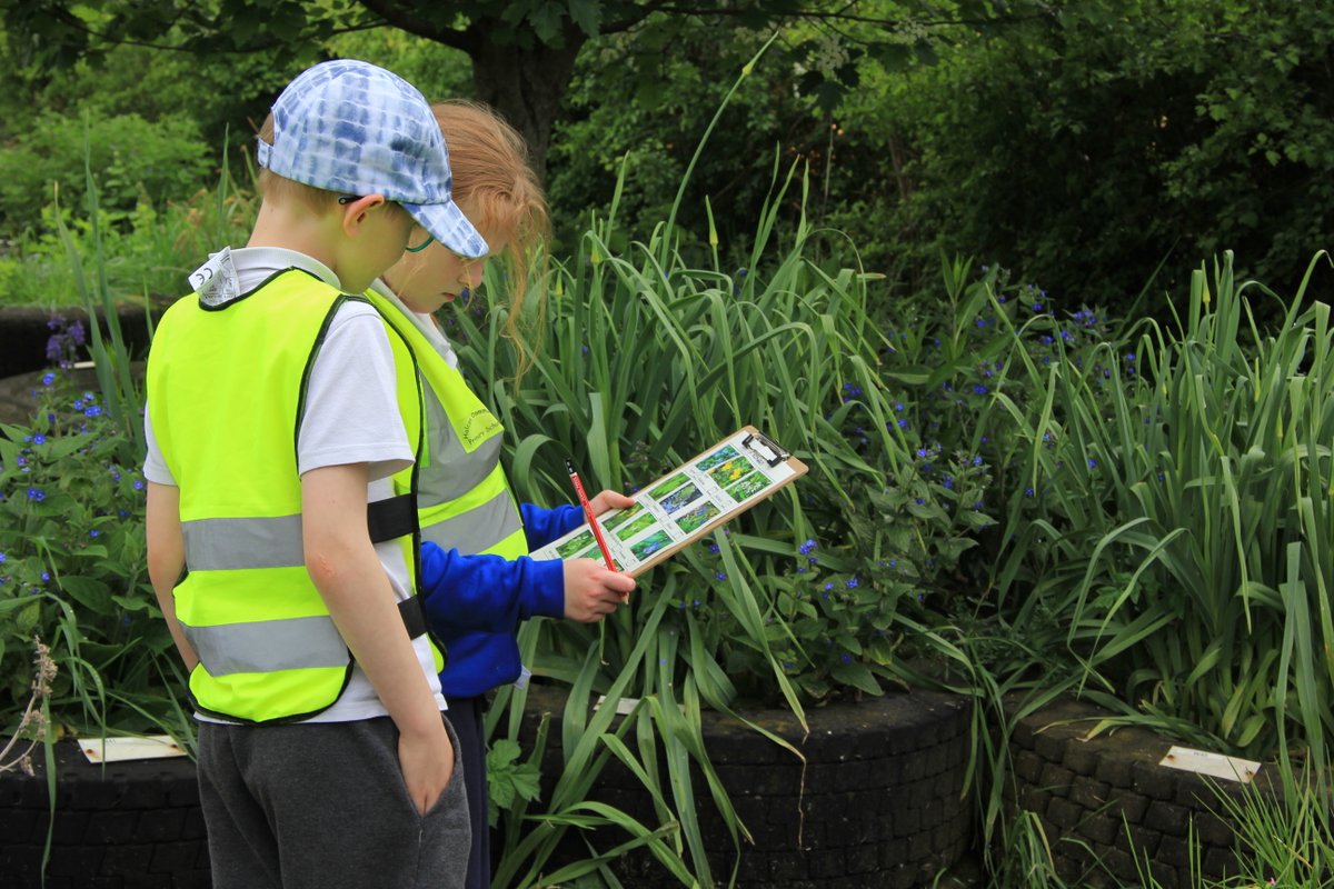 Carymoor's tweet photo. Lovely to welcome children from
@MinervaPrimary
for a Plant Detectives day. We played the pollination game, plant bingo, disected cowslips and made paper potters to plant sunflower seeds in. #springflowers #identification #plants #disection
@TheRLP1 https://t.co/lFO5MOR58X