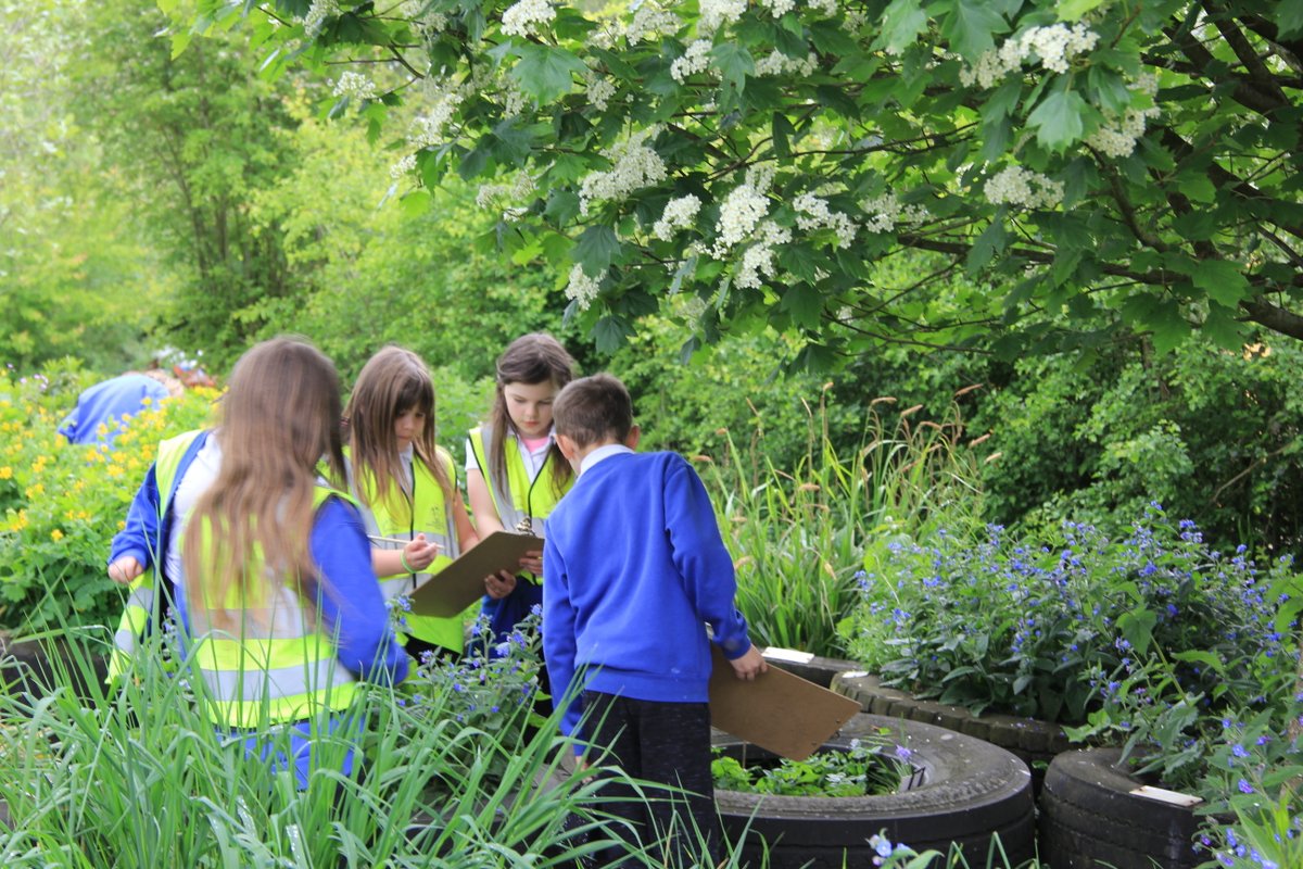 Carymoor's tweet photo. Lovely to welcome children from
@MinervaPrimary
for a Plant Detectives day. We played the pollination game, plant bingo, disected cowslips and made paper potters to plant sunflower seeds in. #springflowers #identification #plants #disection
@TheRLP1 https://t.co/lFO5MOR58X