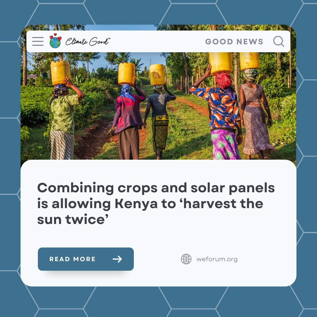 Combining crops and solar panels is allowing Kenya to ‘harvest the sun twice’

#agrivoltaic #Kenya #renewableenergy #solarenergy #carbonfootprint #netzero #climatechange #climateaction #ClimateGood #ClimateGoodNews 

Full article: weforum.org/agenda/2022/03…