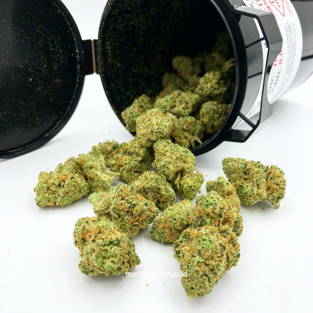 Metanugsclub's tweet photo. GM ☀️☀️☀️ #sunnysativas 
Pour a couple out today, you deserve it! 💨 https://t.co/TY7zcqSrXo