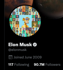 We back in bull <a href="/elonmusk/">Elon Musk</a>