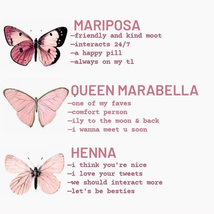 َmeustica fan since 2000 tweet media