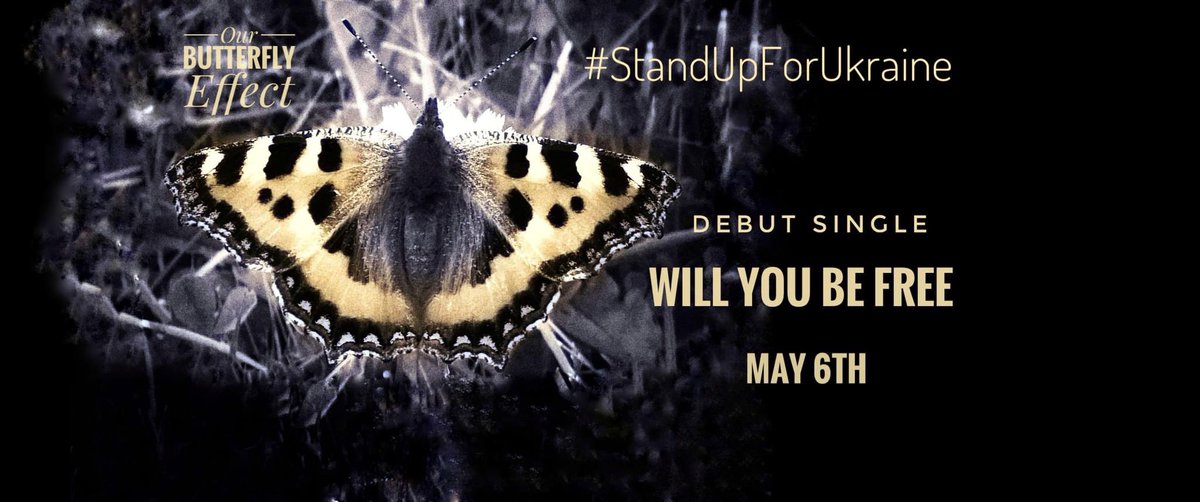 OurButterflyEffect (@ourb_flyeffect) on Twitter photo 