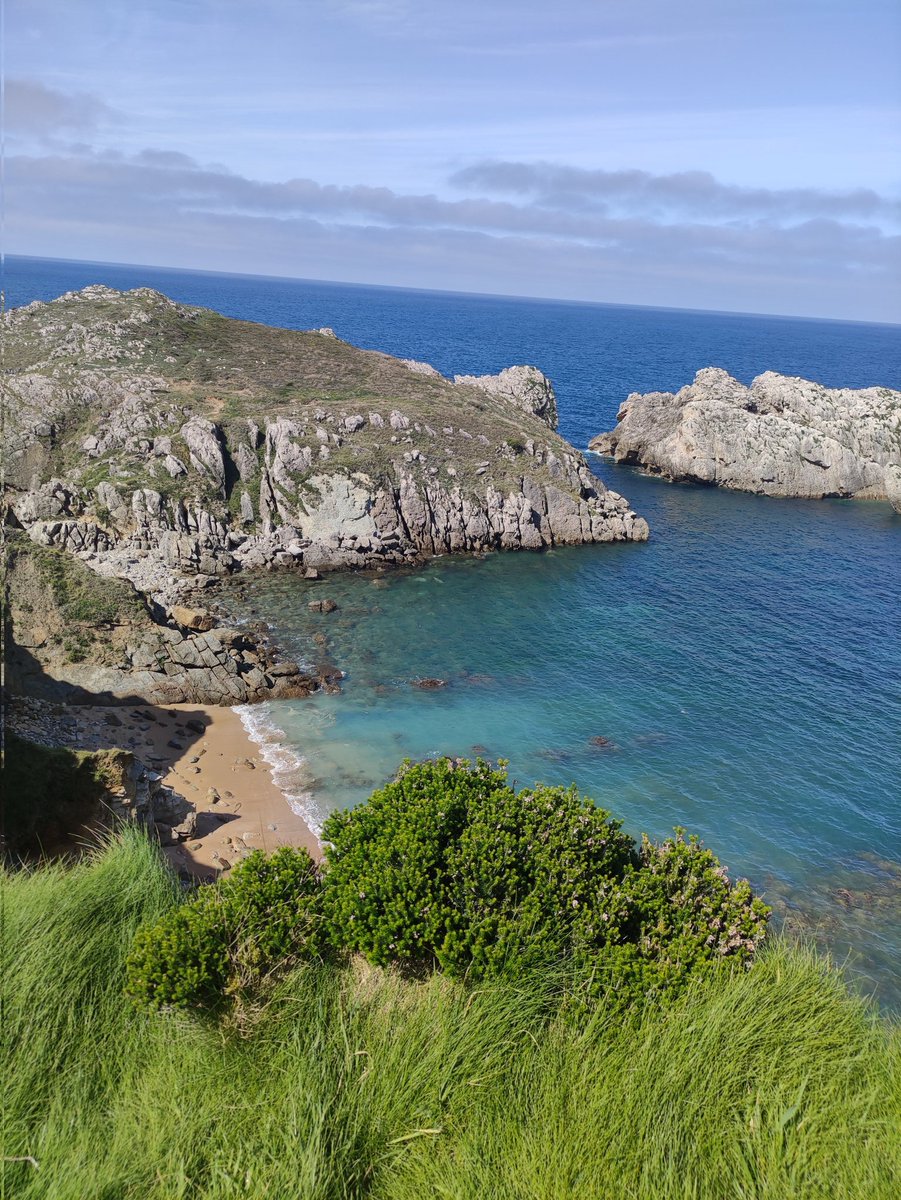 irenepr2's tweet photo. Norte + viento sur = 💙🌿🌞🌱💚 https://t.co/J44FAemZ8K