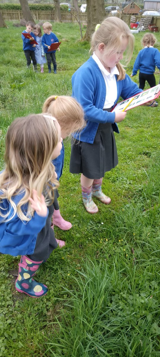 Boyle & Petyt tweet media