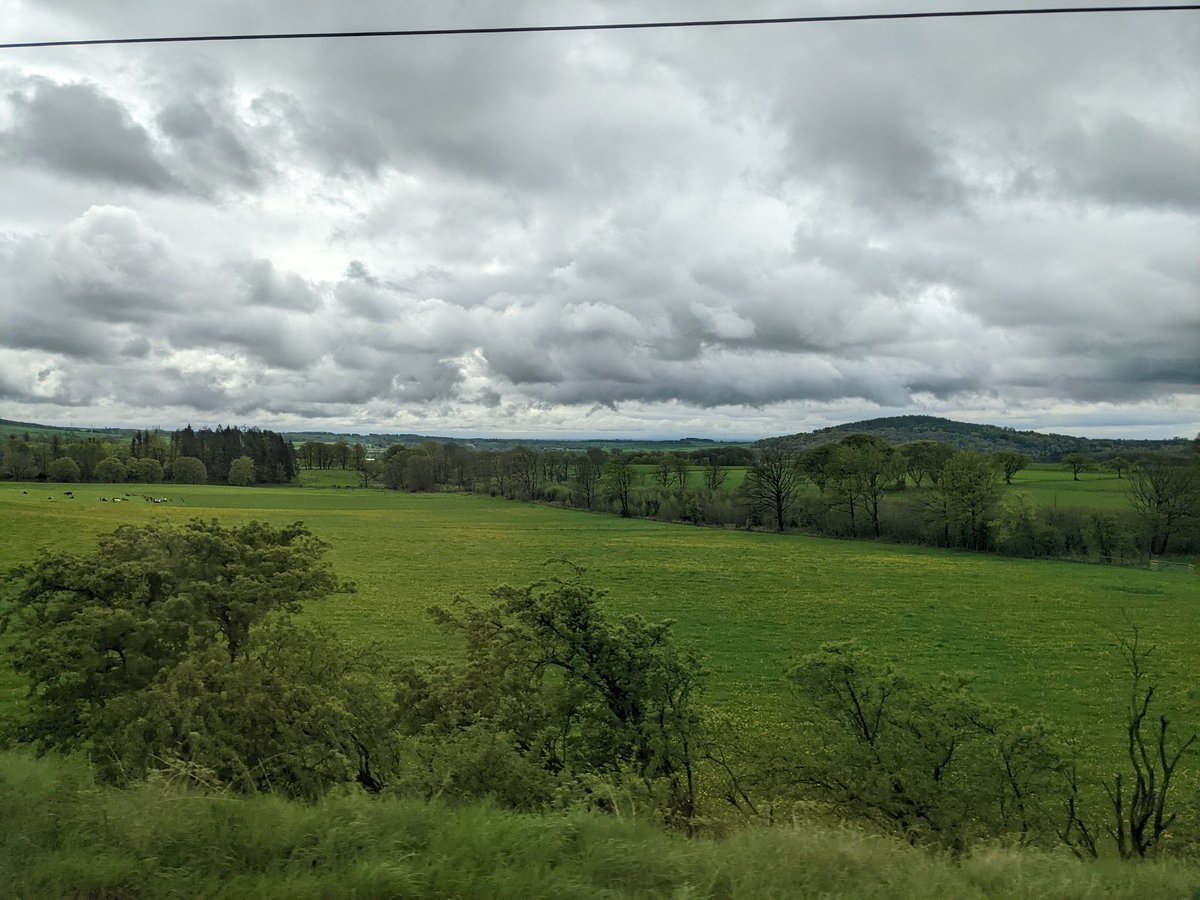 jakelever0's tweet image. Time to head south for #ukbiocuration2022. Always love the train journey down, even on a grey day