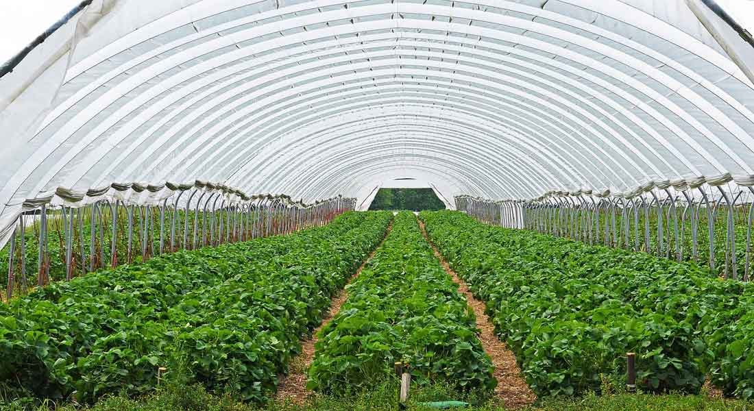 Are you excited about modern agriculture? like and retweet.