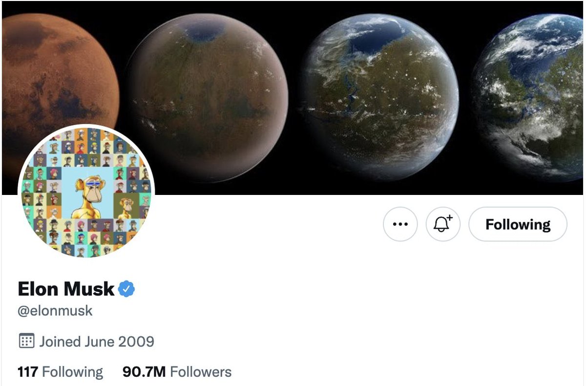 Just Beini tweet media