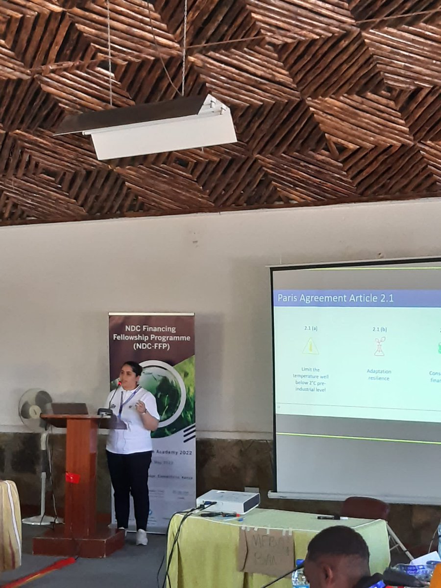 jhfleer's tweet photo. We continue with day three of our  #NDCacademy22 and @KhayalaSadikho1 presenting about Art 2.1 and the relation to #Greentaxonomy in #Africa. Very insightful discussions…
#ClimateAction https://t.co/CREGlLwCn9