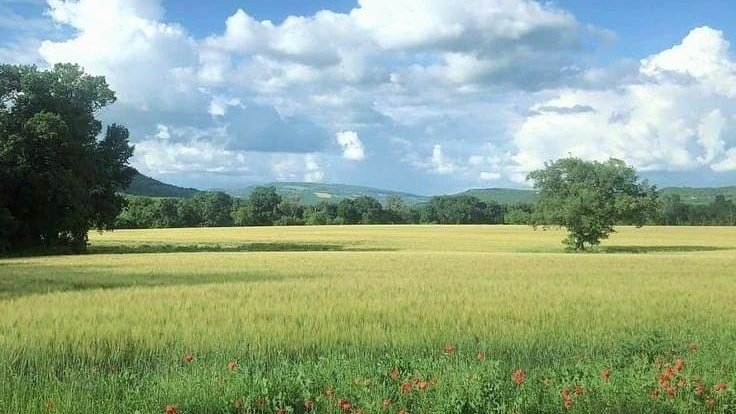 I' (@moodyonmoon) on Twitter photo 