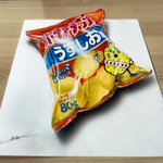 どこからどう見ても本物!色鉛筆で描いたポテトチップスが話題沸騰!