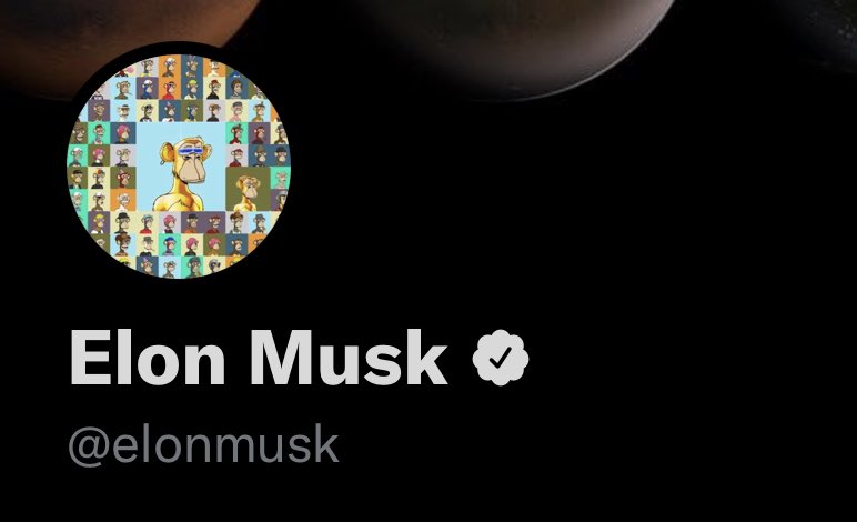 OMG! Someone Ape‘d in!