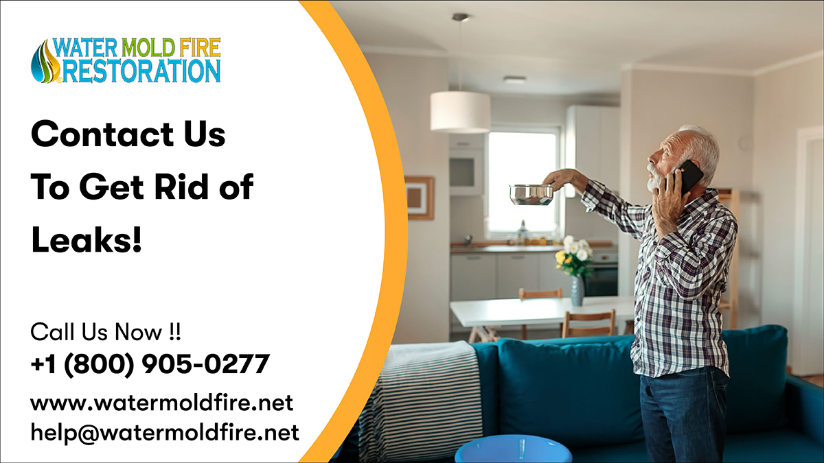 Are you fed up of roof and wall leaks? Contact Water Mold Fire team of professionals to get your trouble solved. We offer the best services !
Call:- 800-905-0277
Mail:- help@watermoldfire.net
Visit:- pos.li/2ia7vo
#waterleak #waterleakage  #waterdamageexpert