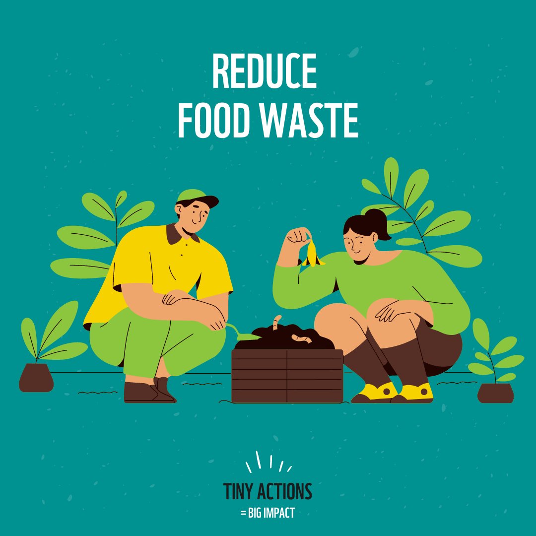 Here’s some food for thought 💭 An average of 1/3 of all the food we buy is thrown away! Don’t buy more food than you need, and don't make more than you can finish! If you have food scraps, try out composting 🪴 #EarthDay #Connect2Earth #EarthDayToBiodiversityDay #BiodiversityDay