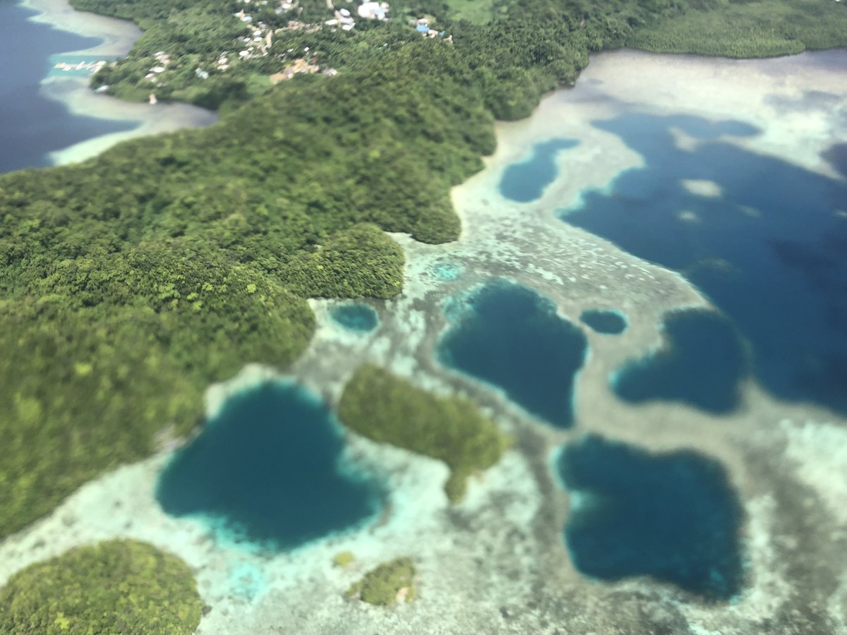 dominocean's tweet photo. @visitpalau_ @wanna Been there, done that, and it was AMAZING! 🇵🇼💙🛩️🌊🏝️🪸🐟 #aerialtour #Palau #BucketList #MustDo #VisitPalau https://t.co/aRbhQeU1Tj