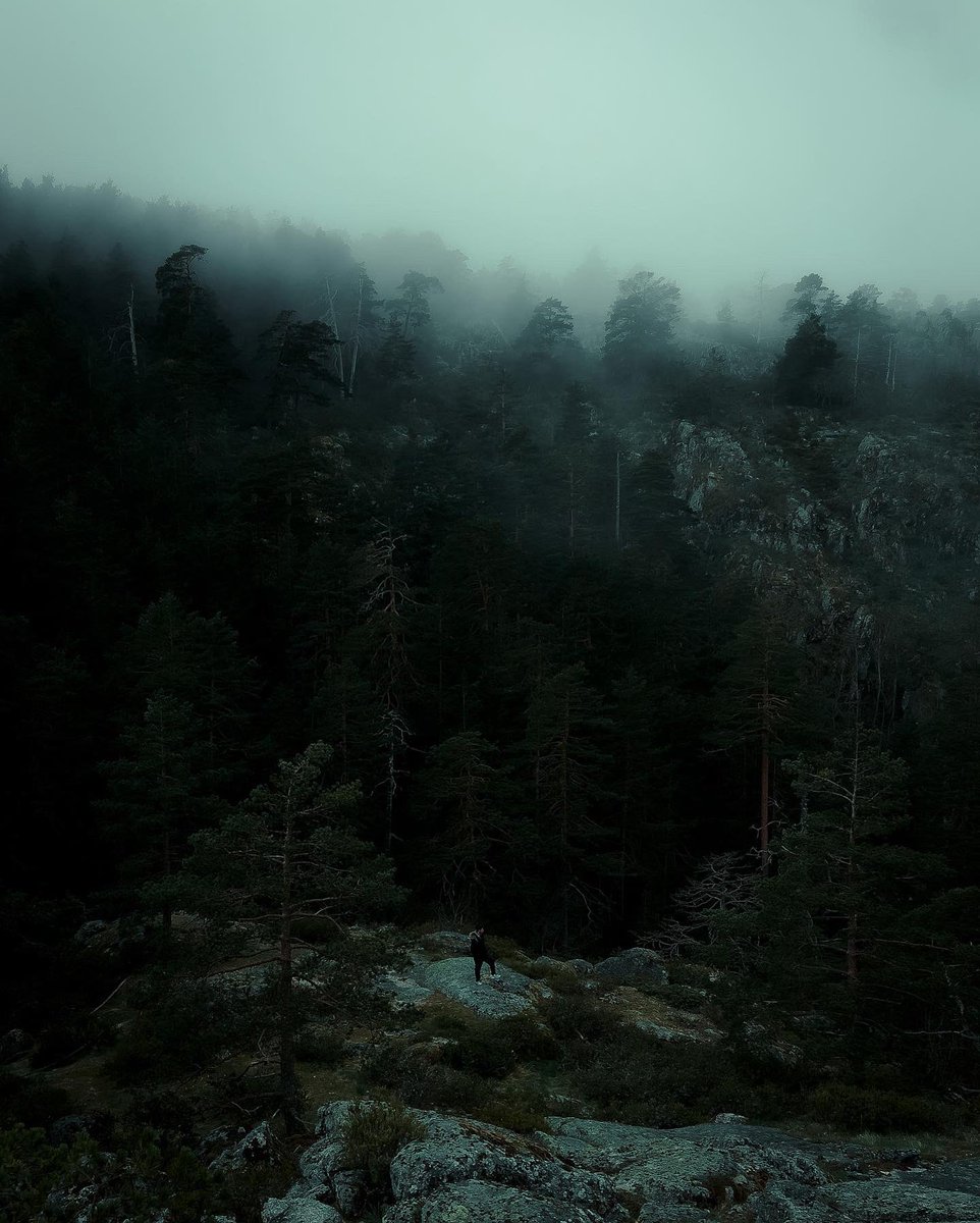 JaviHeFoo's tweet photo. De exploración por los alrededores de Navacerrada. Nos pilló mucha niebla y se convirtió en un sitio mágico.
Todas las fotos han sido con mi móvil, poniéndolo a prueba📸 https://t.co/fNf8hoXC71