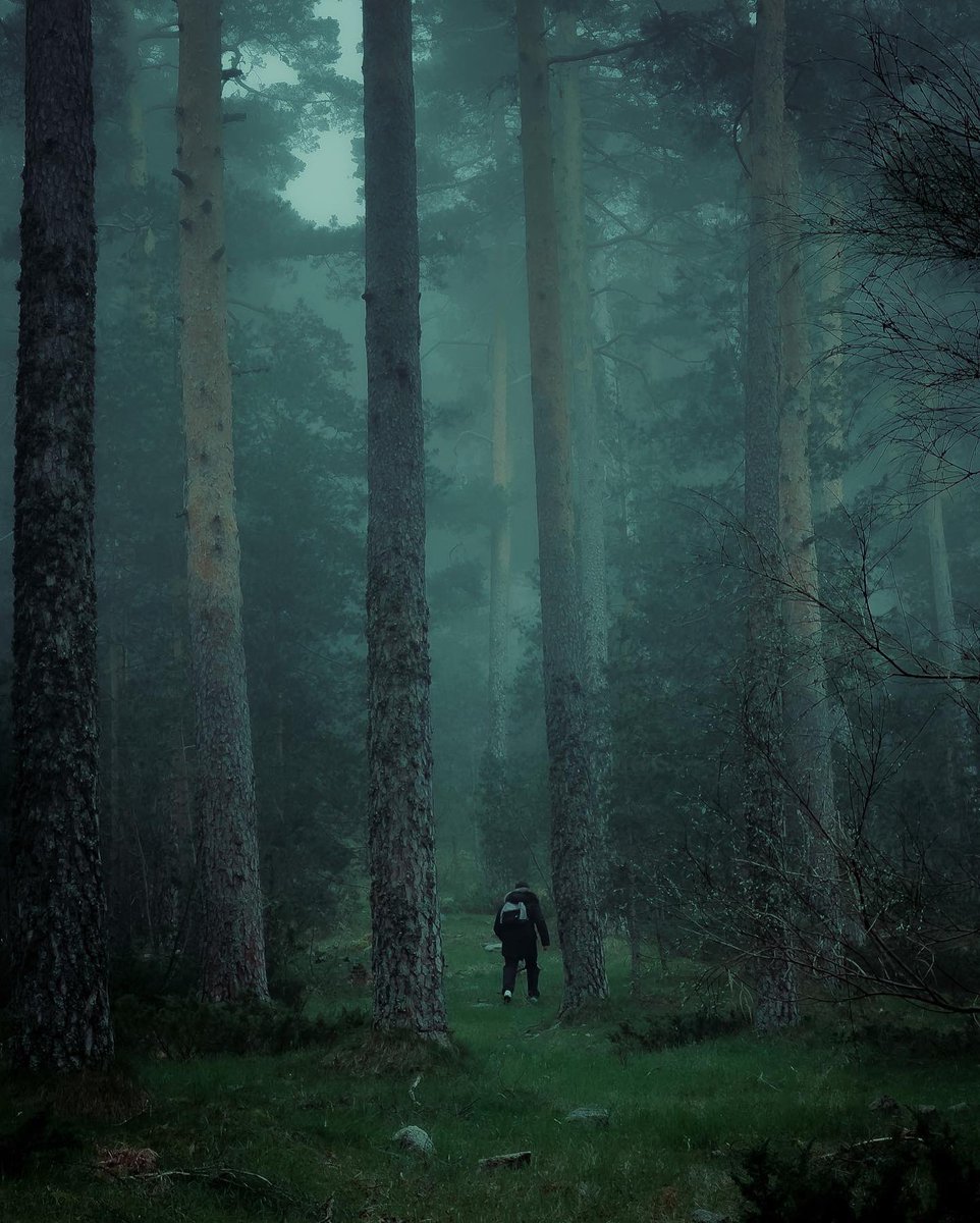 JaviHeFoo's tweet photo. De exploración por los alrededores de Navacerrada. Nos pilló mucha niebla y se convirtió en un sitio mágico.
Todas las fotos han sido con mi móvil, poniéndolo a prueba📸 https://t.co/fNf8hoXC71