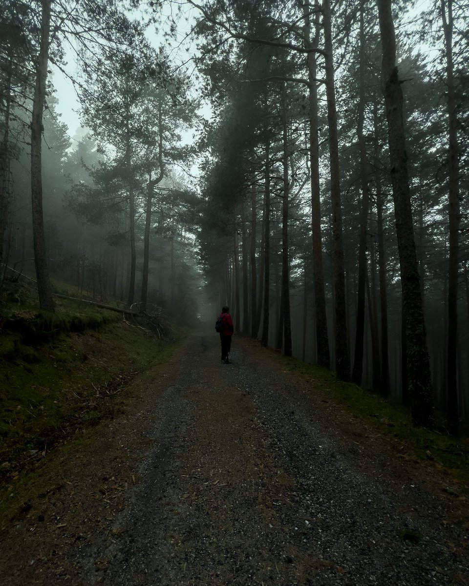 JaviHeFoo's tweet photo. De exploración por los alrededores de Navacerrada. Nos pilló mucha niebla y se convirtió en un sitio mágico.
Todas las fotos han sido con mi móvil, poniéndolo a prueba📸 https://t.co/fNf8hoXC71