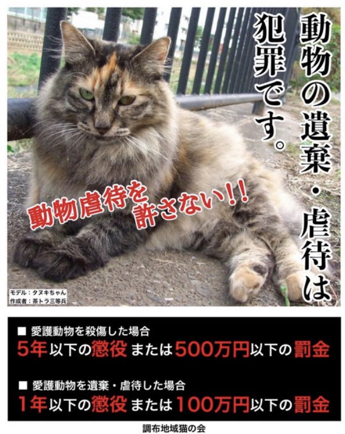 動物虐待板反対 Twitter Search Twitter