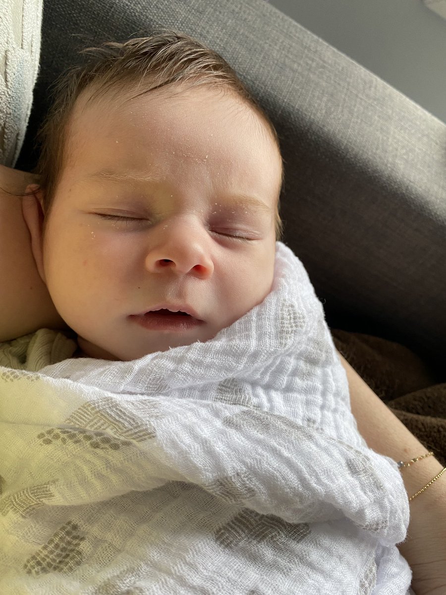 Mrs. Farrugia-Pavan (she/her/hers) tweet media