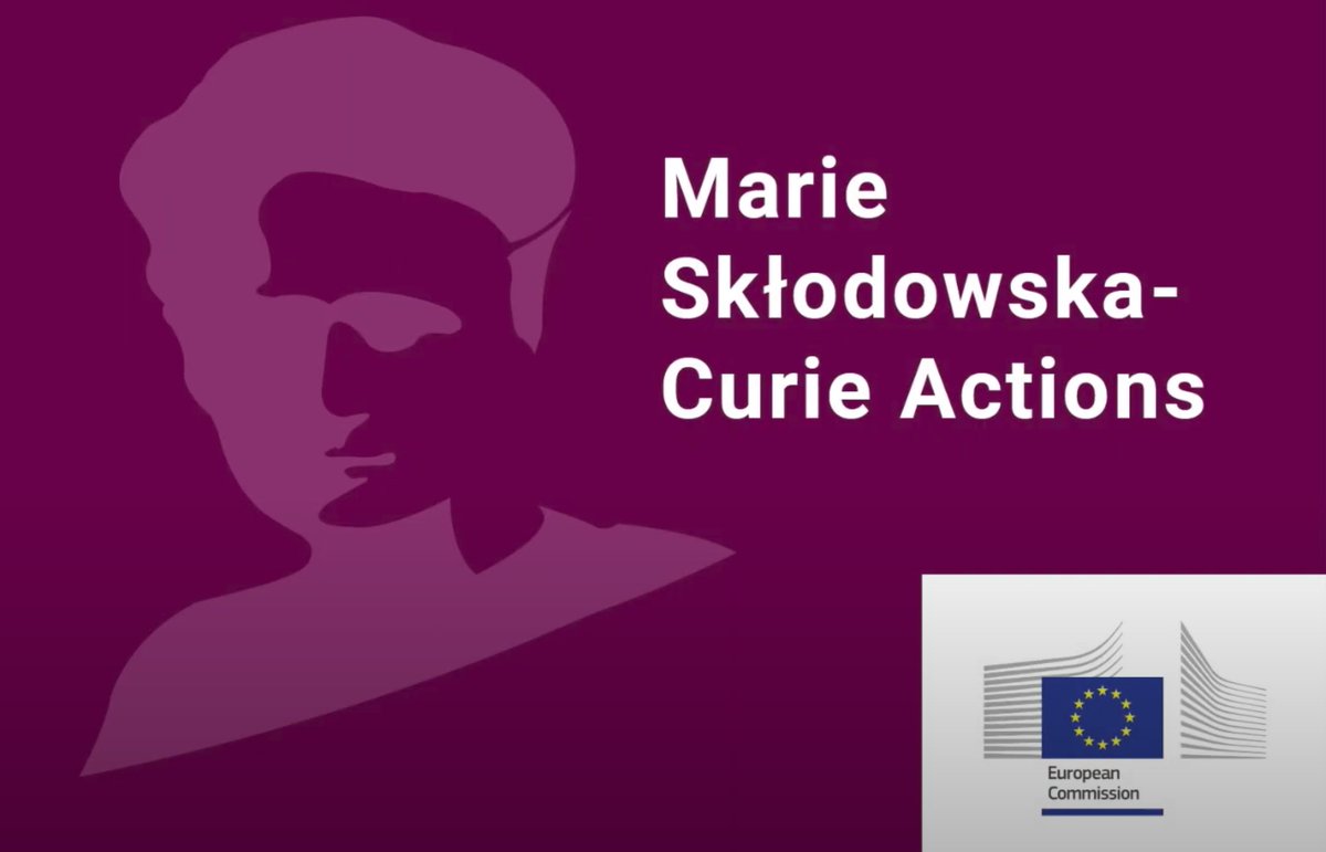 Alessandro Fiorenzano tweet media