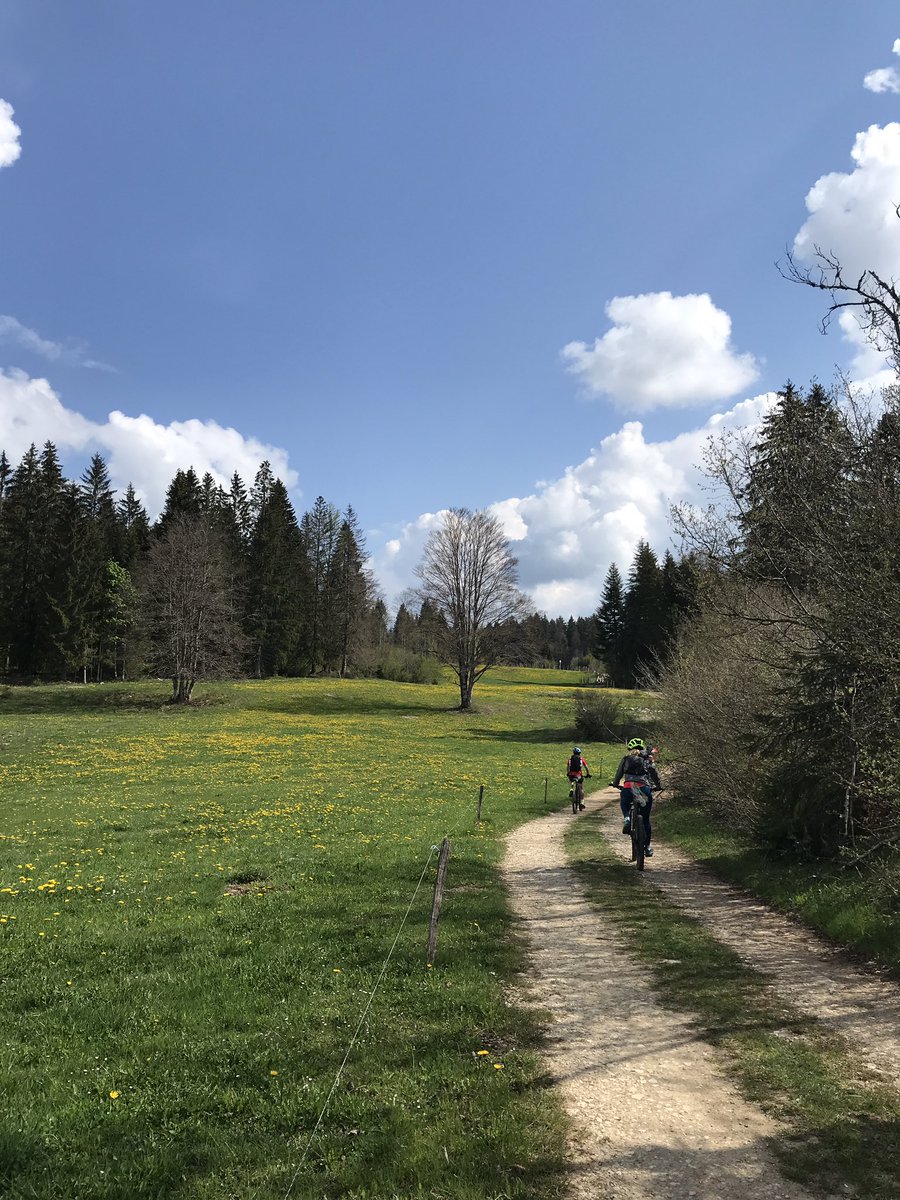 Polypolyrobrob tweet media