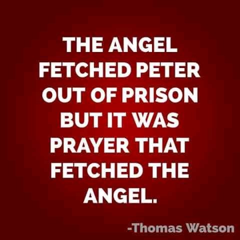 The power of Prayer moved God to send an angel for Peter's rescue
#PrayerWithoutCeasing
#PrayerMovesMountain