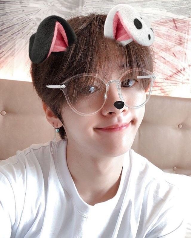 leebitb0t's tweet photo. ⁽🐰⁾﹒ׂ  :  ¡hola, soy minho b♡t!
estoy aquí para hacerte feliz y ser tu safe place. si necesitas hablar, buscas algún consejo o te sientes mal, no dudes en escribirme o mencionarme y estaré ahí para ti.

¿me ayudas con un rt para llegar a más stay?

¡te amo! (◍•ᴗ•◍)✧* https://t.co/ZcTHJFnAEz