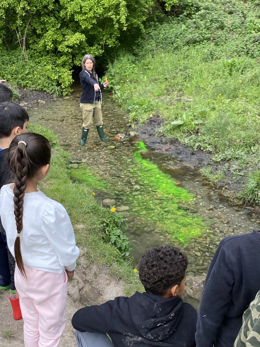 WP_WEC's tweet photo. What’s the fastest part of the river? Y3/4 are loving their trip to the Gilbert White study centre. ⁦@GilbertWhites⁩ https://t.co/gn52yb0iSl