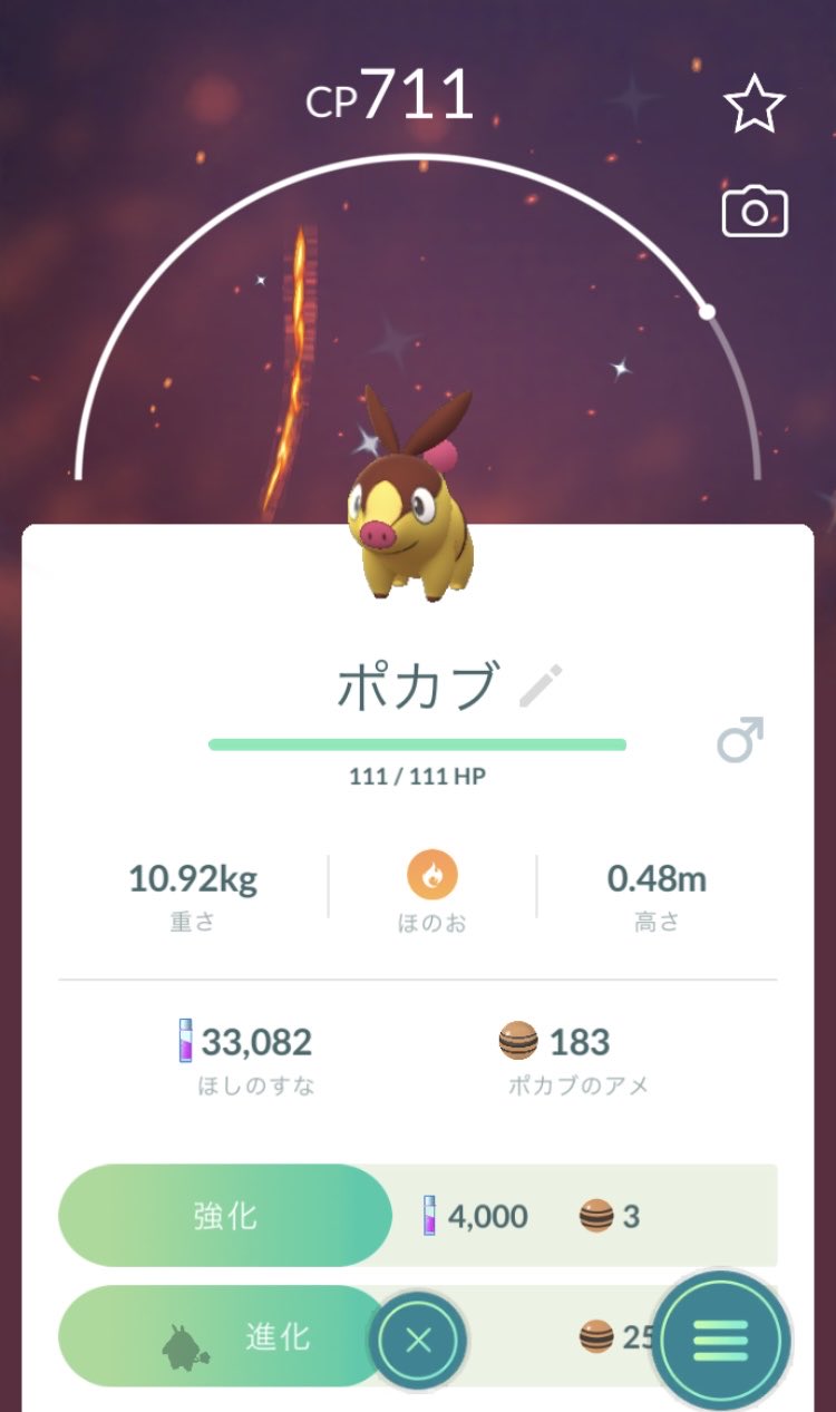ハネコ ポケモンgo ポカブの色違い受付中にゲット 手持ちに2匹 1匹はcp低過ぎて飴になったw 実際は3匹目 T Co Jhmddyjj2q Twitter