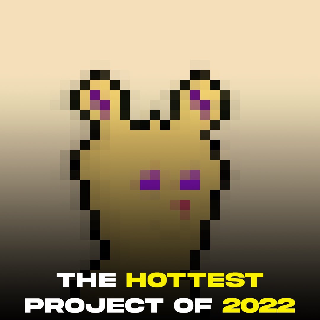 RabitzNFT's tweet photo. @erykmedykowski The hottest project of 2022 will make its first drops very soon. stay tuned so you don't miss it🚀🐰 https://t.co/4GyS3NczBQ