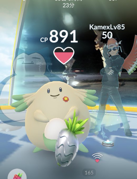 ポケモンgo メガレイドやればやるほど回復と金ズリが減っていく その代わり銀パイルだけは大量に