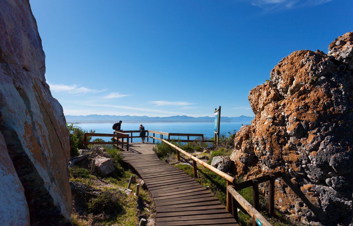 Seas the day! 🐟😎🌊
Tickets are on sale for our Marine Science Symposium at #PlettOceanFestival! From 1 - 3 July 2022 at the Beacon Island &amp; talks range from free of charge to R100pp, with 1-,2-, 3-day passes available. #Plett
BOOK TODAY on plettoceanfestival.co.za
