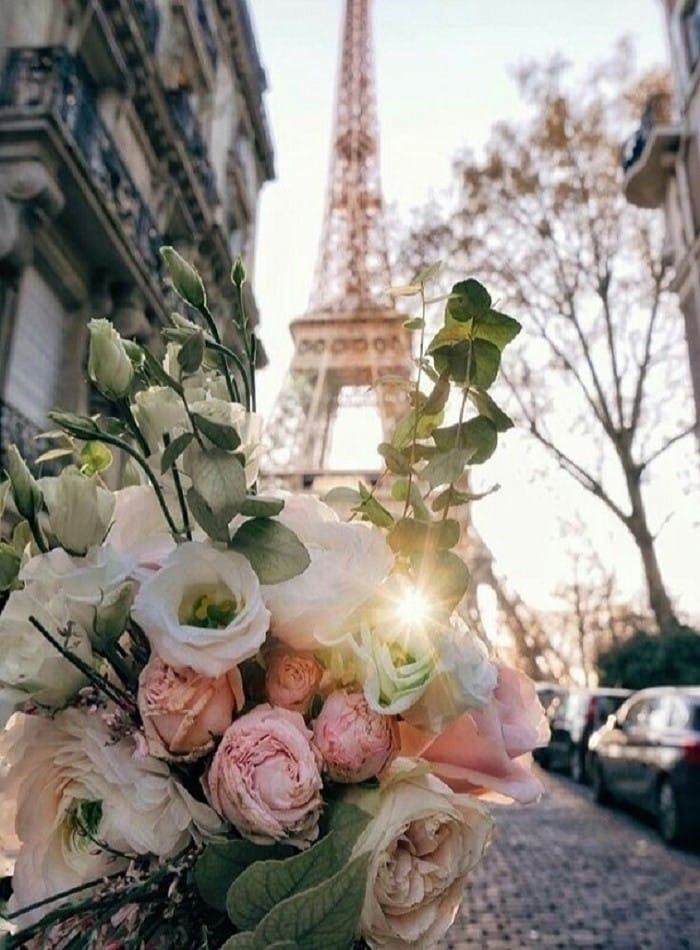 Stphy14's tweet photo. @yourstrulyBinu @EehHorn @nataliepastor7 @Angelic49321092 @LaniJDav @Gerie_Ooms @maype7 @pamelllar @Marcsi51 @JulyNoor @Tatiana5oz @IAmTheCubanSoul @Gia___Carangi @irina_grozavu @NerissaaEmy @SmolkoZofia @OONs5QYe7Vbe8Hp @Angelic82324893 @KaTiE_7 @RobVan_Doesburg @Claire2La Hi Binu 😘
Happy May 🌸🌷 https://t.co/b1tZBWCuaY