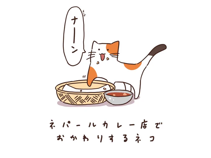 ネパールカレー店でおかわりするネコ 