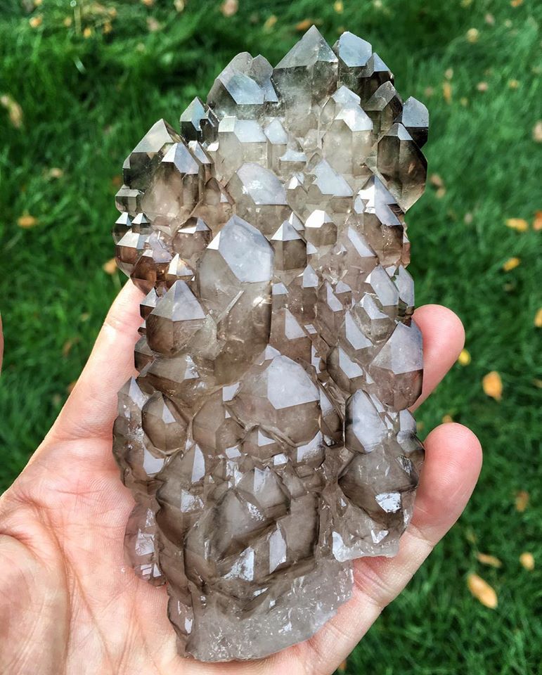GeologyTime's tweet photo. Unique Smoky Quartz (Elestial) •
from Minas Gerais, Brazil •

Credit: Dust77 ~ CEK /Scott Maller

#minerals #crystals https://t.co/lU1n7dtXEi