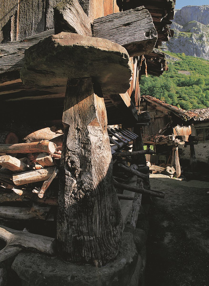 ¿Conoces para que sirve uno de los principales elementos de la arquitectura popular asturiana: EL HORRREO? ¿Sabias que en #asturias se conservan ejemplares de varios siglos de antigüedad? Aquí te lo contamos todo👉 picosdeeuropa.com/horreo/