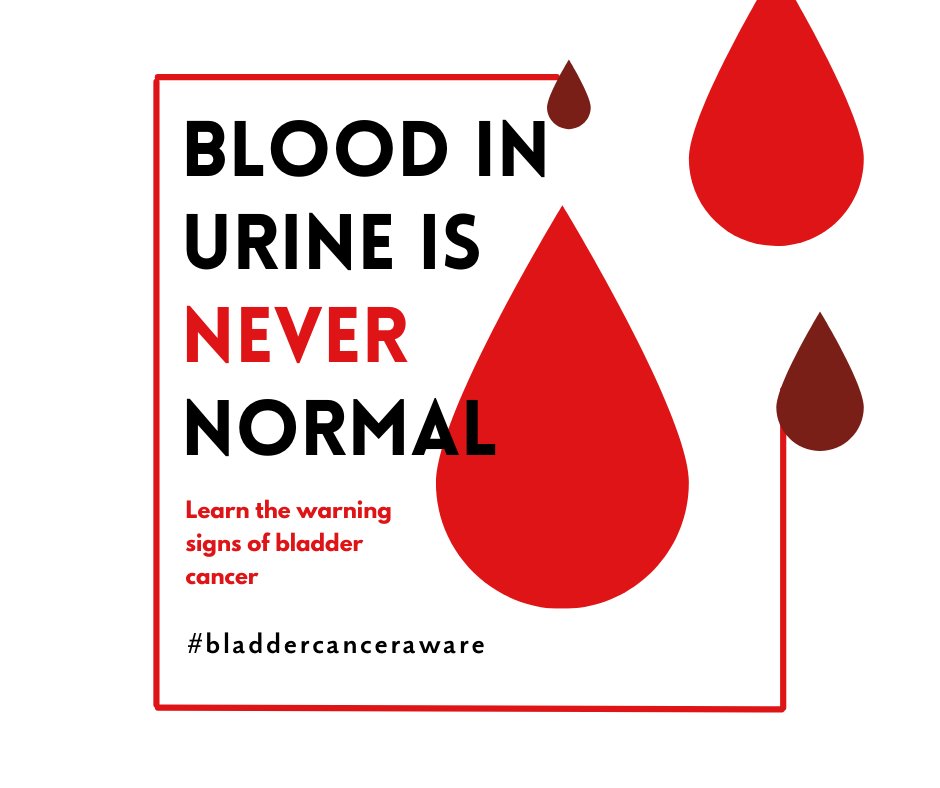 Bladder Cancer Advocacy Network on X: PLEASE SHARE => The number one sign  of #bladdercancer is blood in the urine. This Bladder Cancer Awareness  Month, learn more about its signs and symptoms