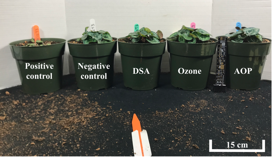 Electric surge⚡️ tweet media