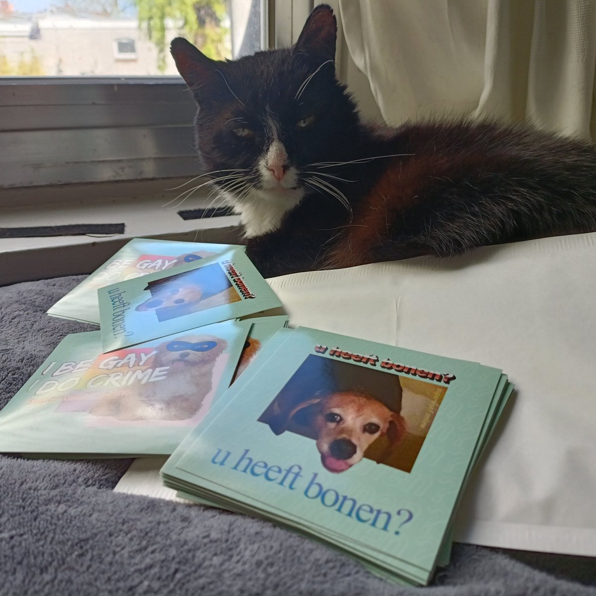 Bedolven onder het werk om de volgende lading stickers op tijd de deur uit te krijgen 😩😿