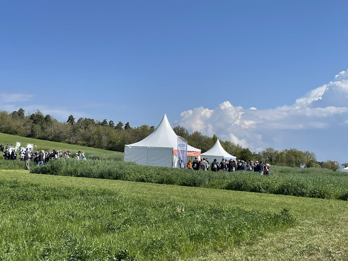 GrainHedger's tweet photo. Aujourd’hui c’est plateforme agronomique, axées sur les plantes fourragère.

On y voit des micro-parcelles d’essai, où on teste les variétés , les itinéraires techniques, et tout ce qu’on peut faire pour produire mieux .

Par exemple ⬇️⬇️ https://t.co/ZH6VpXrwlN