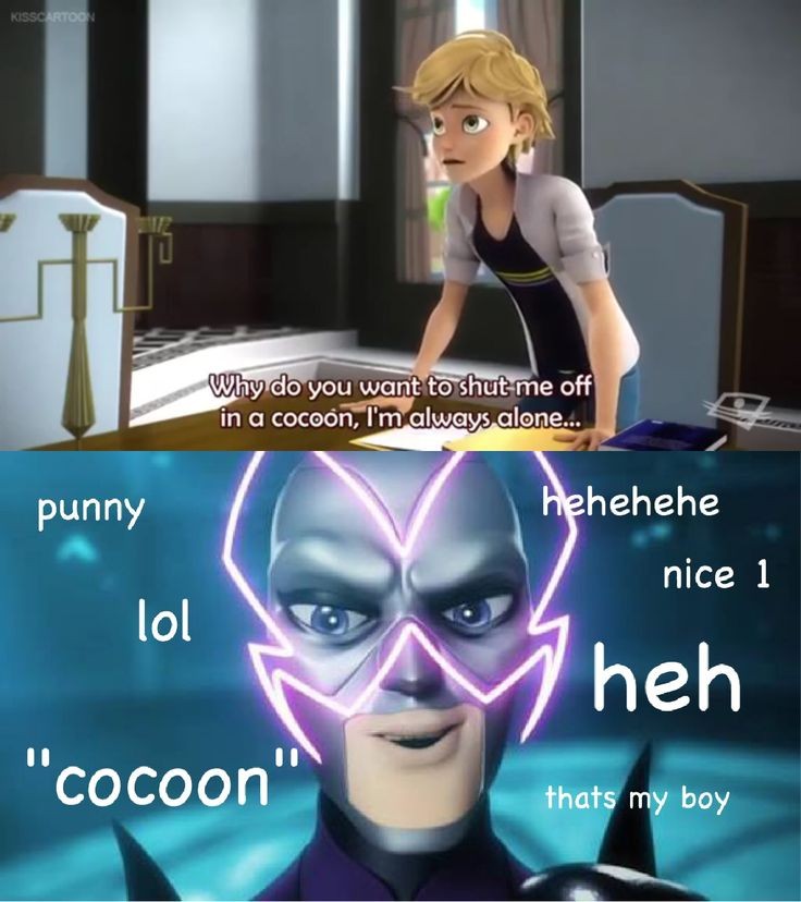 memes de miraculous ladybug on X:  / X