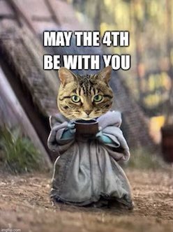 Happy Star Wars Day from Missy. #MayThe4thBeWithYou #CatsOfTwitter